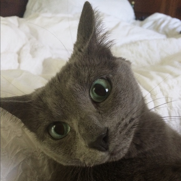 Welcome To Freelove Threads! - Picture 5 of 7